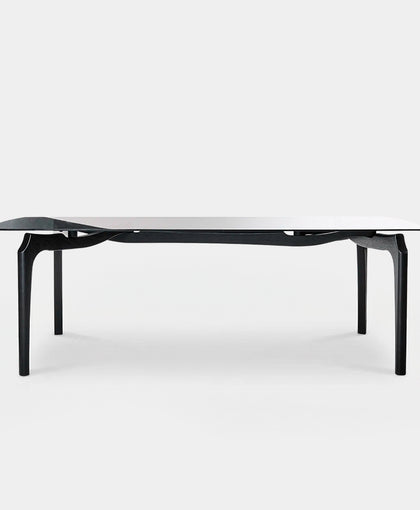 Carlina Rectangular Dining Table