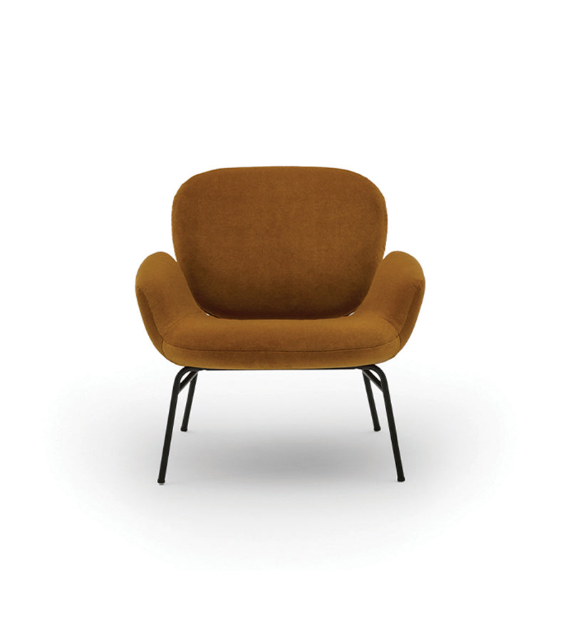 Momo Armchair
