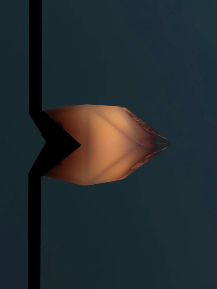 Seed Pendant