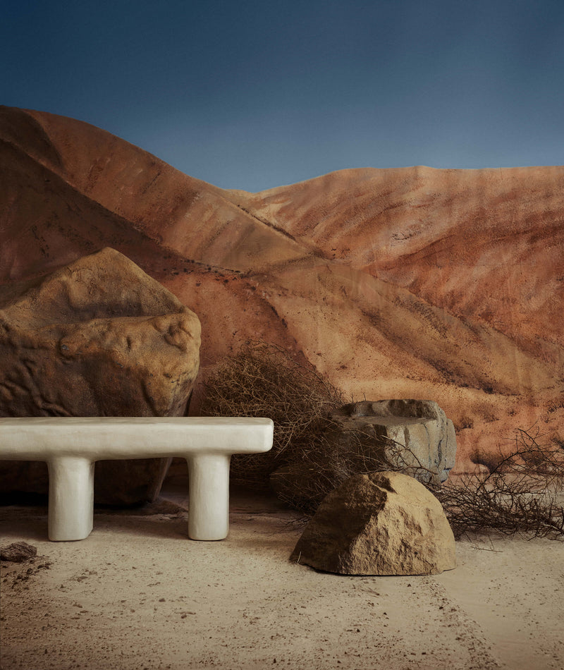 Dino Bench
